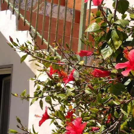 הוילה סנטה מריה דל פוקלו Casale Hibiscus מראה חיצוני תמונה