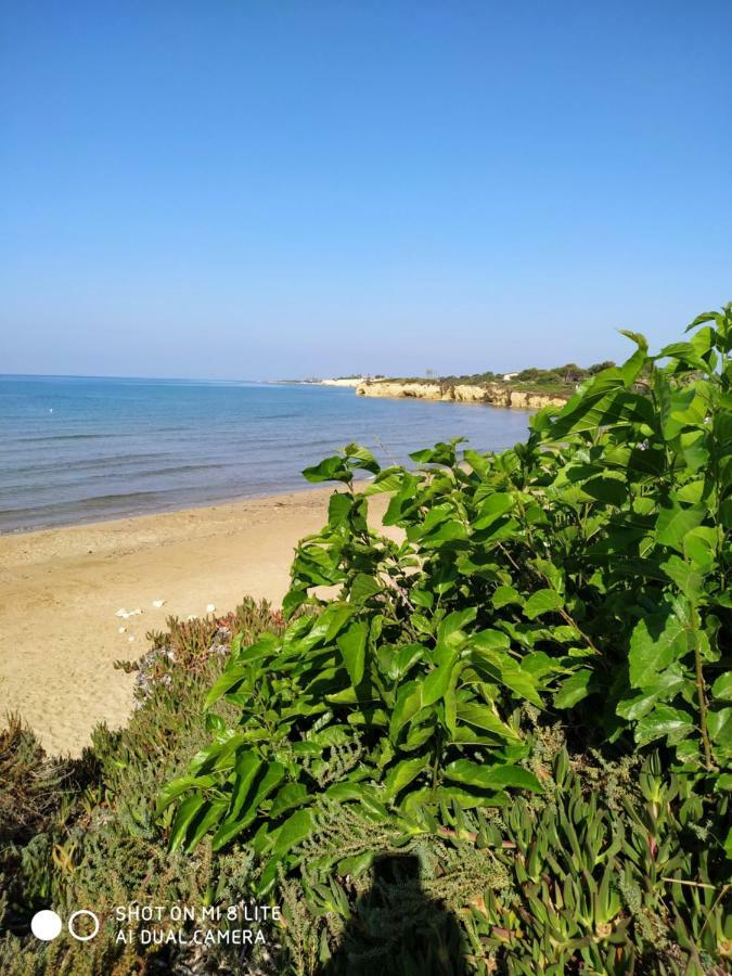 הוילה סנטה מריה דל פוקלו Casale Hibiscus מראה חיצוני תמונה