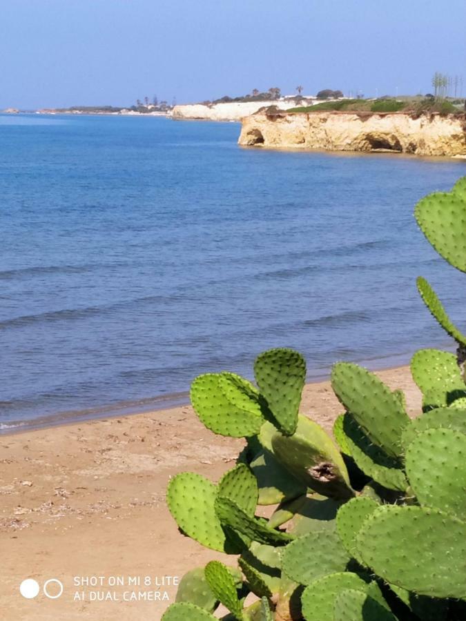 הוילה סנטה מריה דל פוקלו Casale Hibiscus מראה חיצוני תמונה